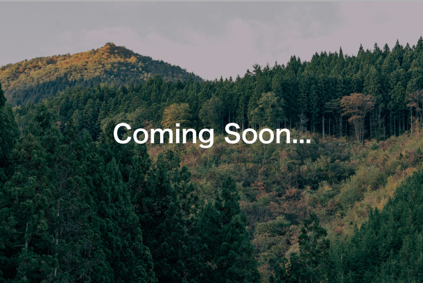 環境保全について